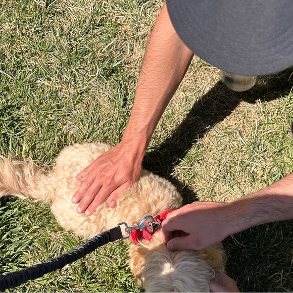 bayareamarket